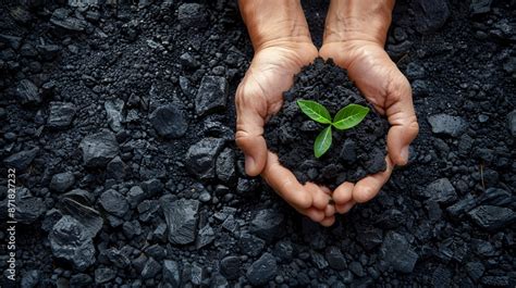  Biochar: ¡Un Miracle Eco-Friendly Para la Recuperación de Suelos y el Almacenamiento de Carbono!