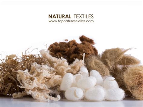 ¿C Cotton: Una Exploración Profunda de esta Fibra Natural Versátil?