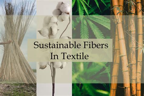  ¿Kapok: La fibra vegetal que revolucionará la industria textil sostenible?