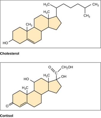  Ketosterol, un componente clave para la producción de vitamina D y esteroides anabólicos!