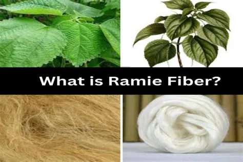 ¿Ramie: La Fibra de la Historia que Redefine la Sostenibilidad en la Industria Textil?